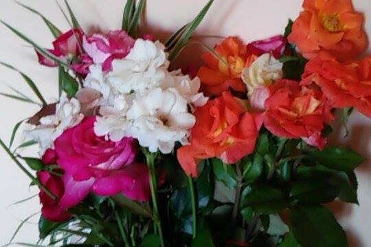 10502383 741115112597310 1581600750 n