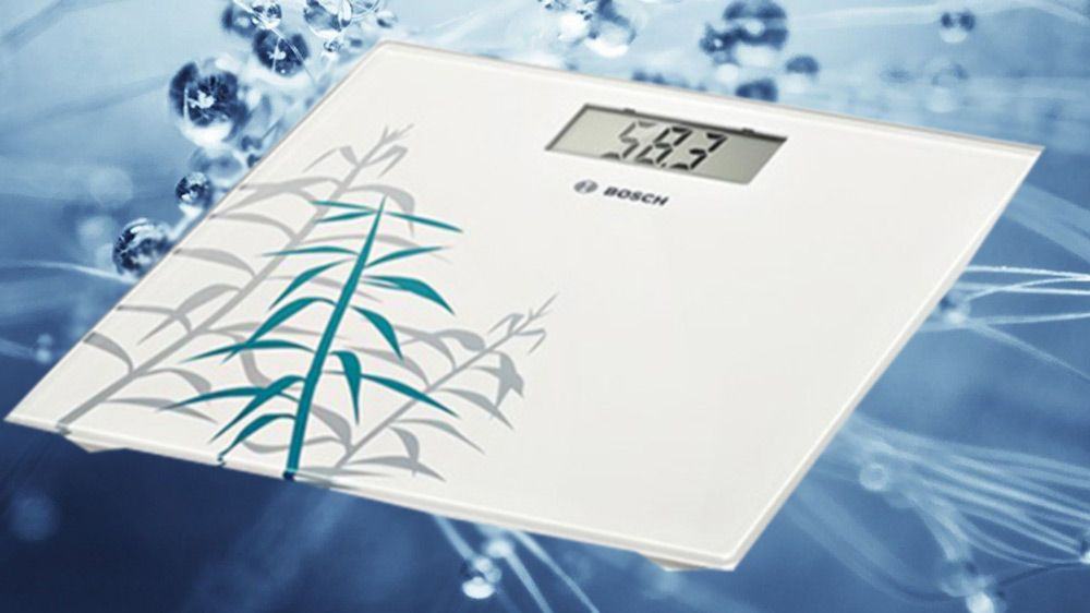 cantar-electronic-Bosch