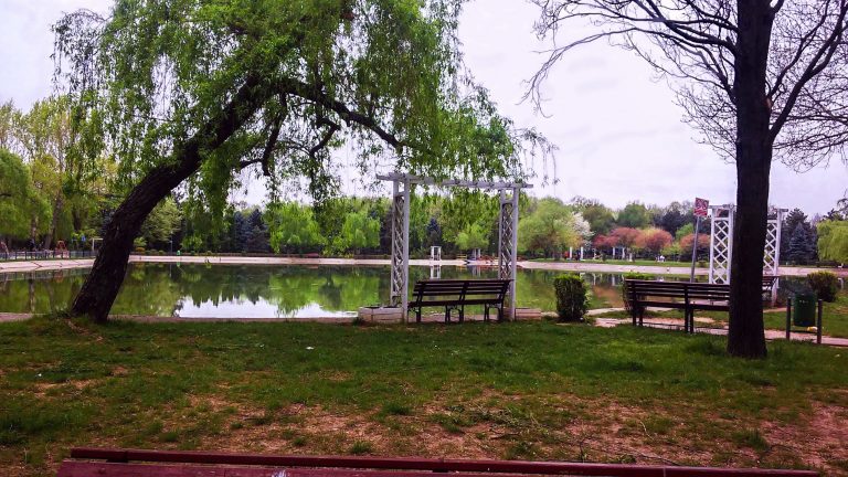 parc1