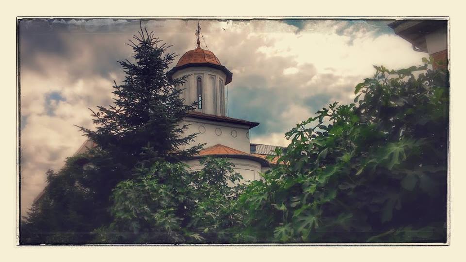 pozici