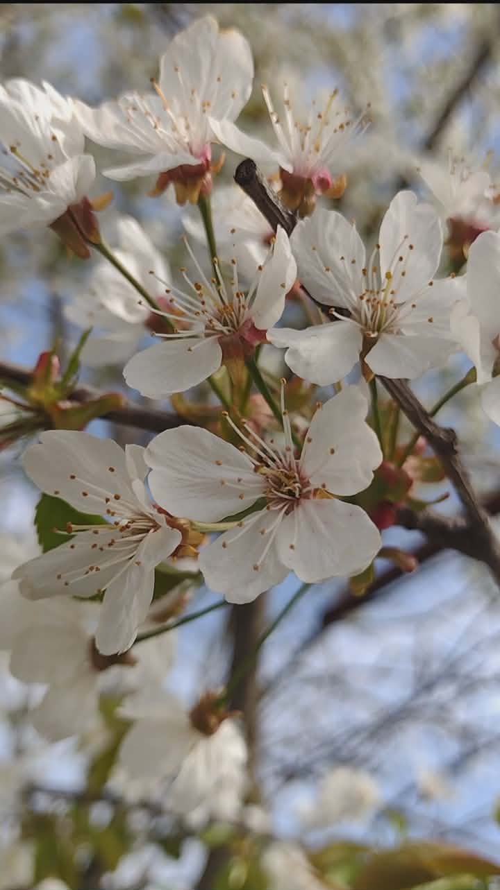 fericirea mea din fiecare zi ești tu