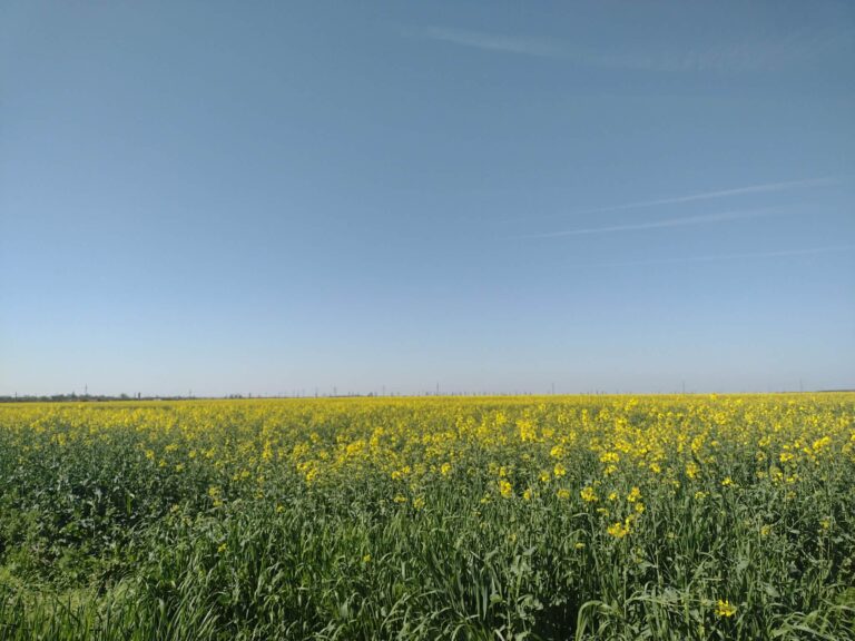 îl iubesc din sulet, inimă și minte