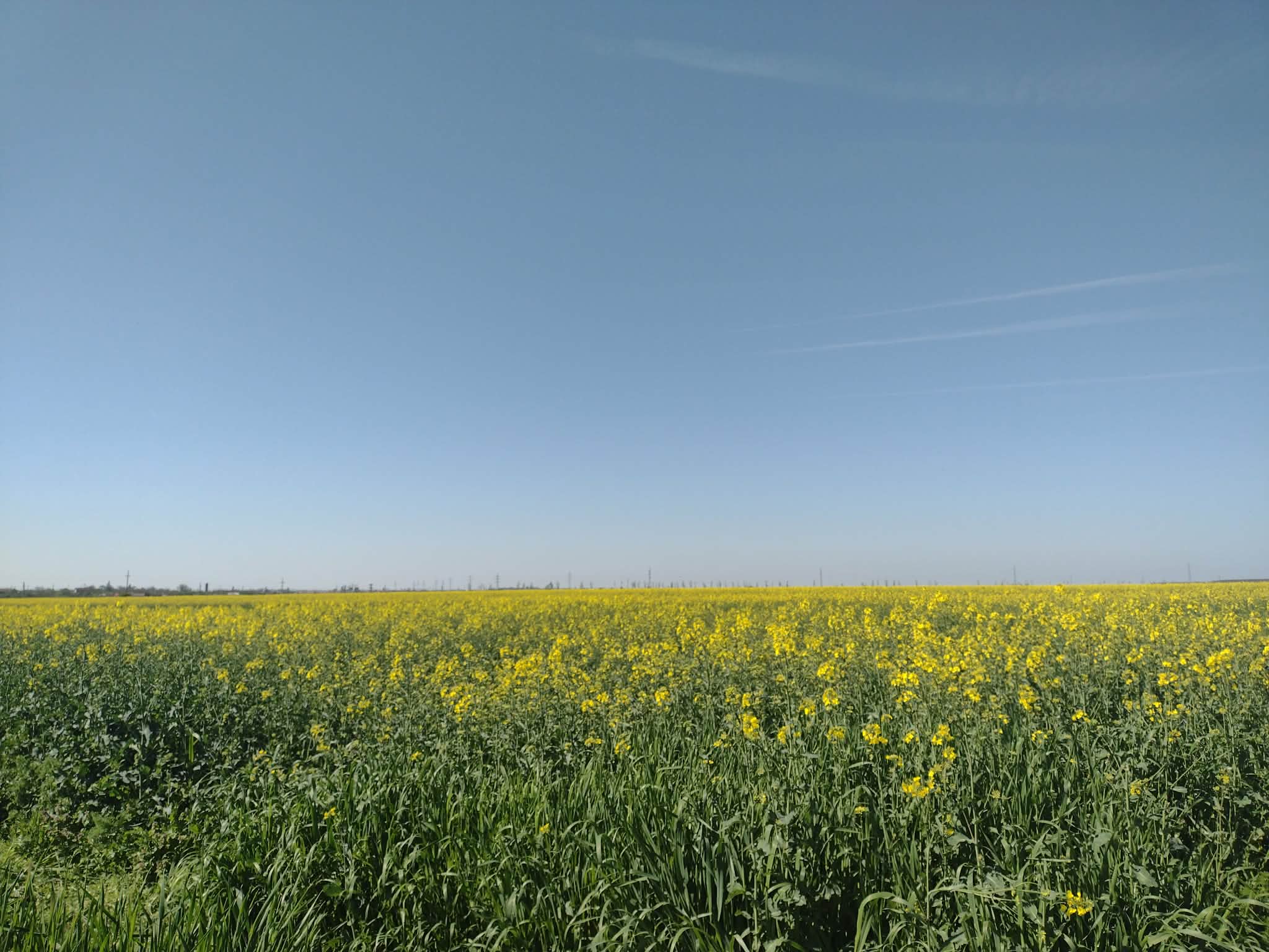 îl iubesc din sulet, inimă și minte