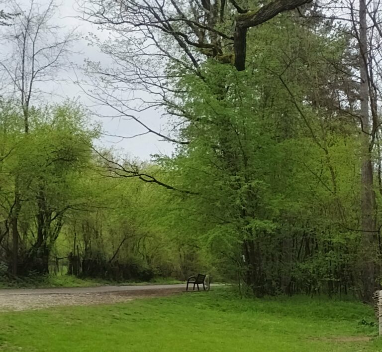 în căutarea timpului pe care nu mi l am permis